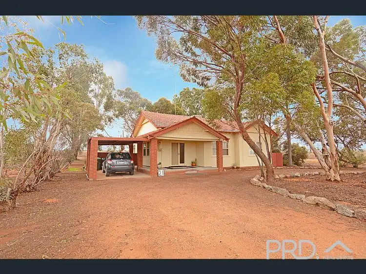 Second view of Homely house listing, 21 Dumosa Street, Red Cliffs VIC 3496