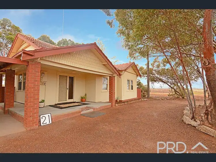 Third view of Homely house listing, 21 Dumosa Street, Red Cliffs VIC 3496