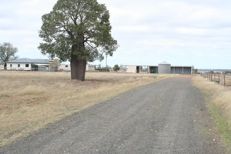 Second view of Homely rural property listing, 82 Rundle Access Road, Emerald QLD 4720