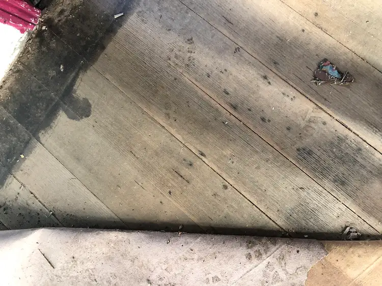 Third view of Homely house listing, 6 Ross Street, Casterton VIC 3311