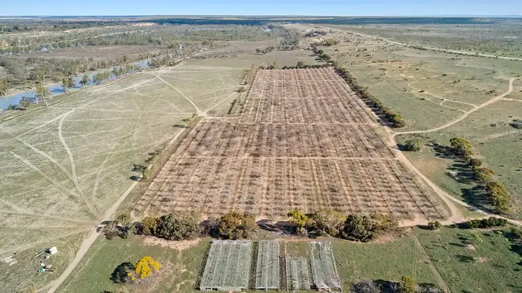 Main view of Homely rural property listing, Lot 123 Murraylands Road, Swan Reach SA 5354