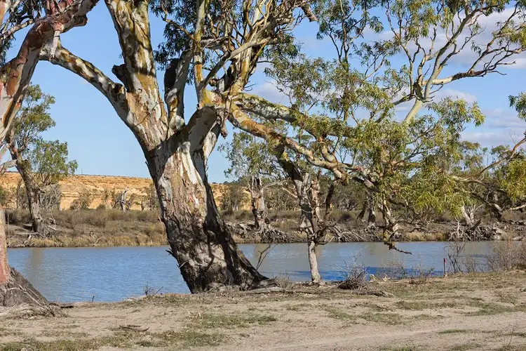 Fourth view of Homely rural property listing, Lot 123 Murraylands Road, Swan Reach SA 5354