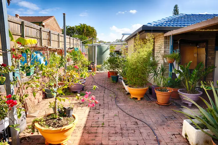 Third view of Homely house listing, 58 Wallaroo Way, Doolandella QLD 4077