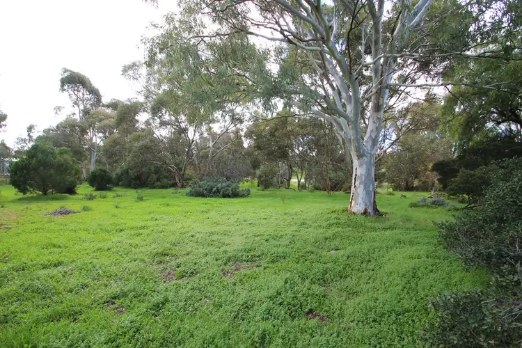 Lot 102-110 + Young Street, Burra SA 5417