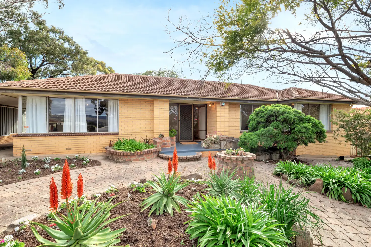 Main view of Homely house listing, 49 Young Street, Reynella SA 5161