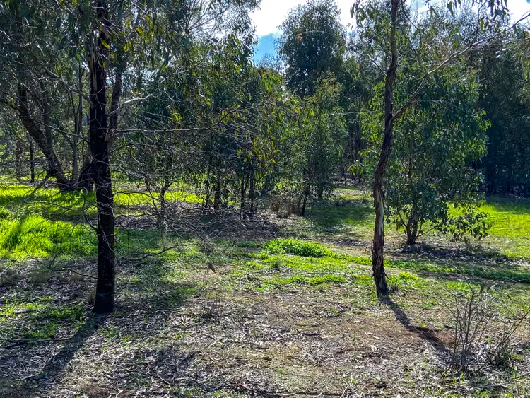 Fourth view of Homely rural property listing, Cnr of Bendigo-Murchison and Jones Road, Rushworth VIC 3612