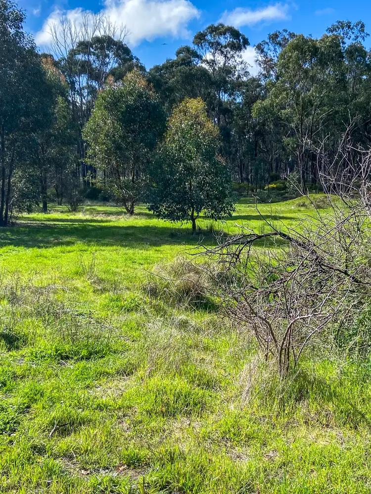 Seventh view of Homely rural property listing, Cnr of Bendigo-Murchison and Jones Road, Rushworth VIC 3612