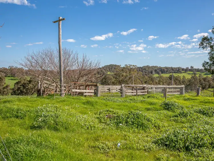 Third view of Homely rural property listing, 128 WILDMERE ROAD, Thomson Brook WA 6239