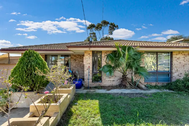 Main view of Homely house listing, 10 Crews Court, Withers WA 6230