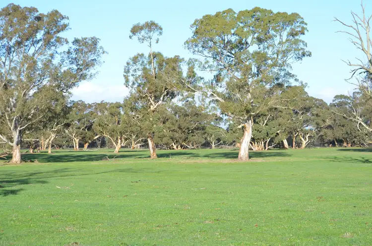 Main view of Homely rural property listing, 1141 SPENCE-COLES ROAD, Lucindale SA 5272