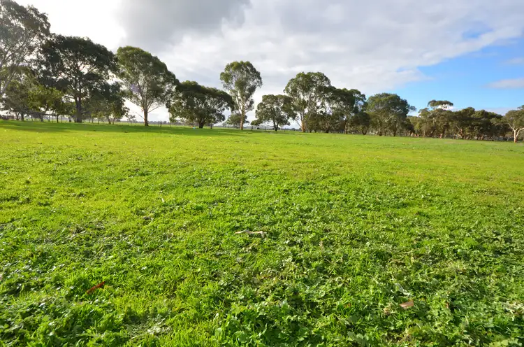 Second view of Homely rural property listing, 1141 SPENCE-COLES ROAD, Lucindale SA 5272