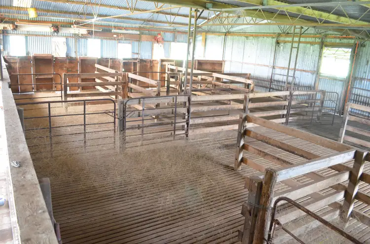 Third view of Homely rural property listing, 1141 SPENCE-COLES ROAD, Lucindale SA 5272