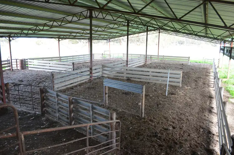 Fourth view of Homely rural property listing, 1141 SPENCE-COLES ROAD, Lucindale SA 5272