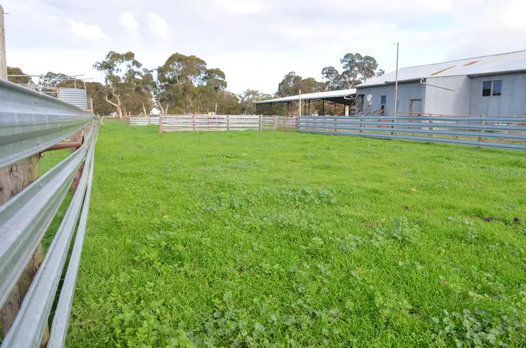 Fifth view of Homely rural property listing, 1141 SPENCE-COLES ROAD, Lucindale SA 5272