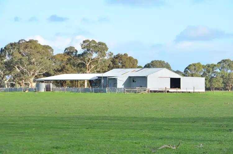 Sixth view of Homely rural property listing, 1141 SPENCE-COLES ROAD, Lucindale SA 5272