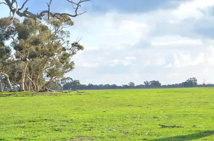 Seventh view of Homely rural property listing, 1141 SPENCE-COLES ROAD, Lucindale SA 5272