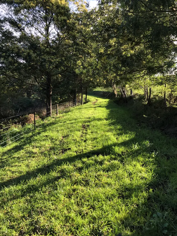 Second view of Homely rural property listing, 380 Lamont Dr, Toora VIC 3962