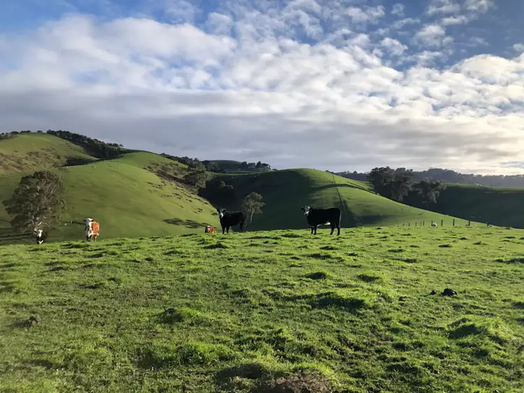 Third view of Homely rural property listing, 380 Lamont Dr, Toora VIC 3962