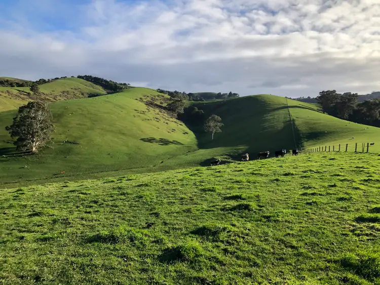 Sixth view of Homely rural property listing, 380 Lamont Dr, Toora VIC 3962