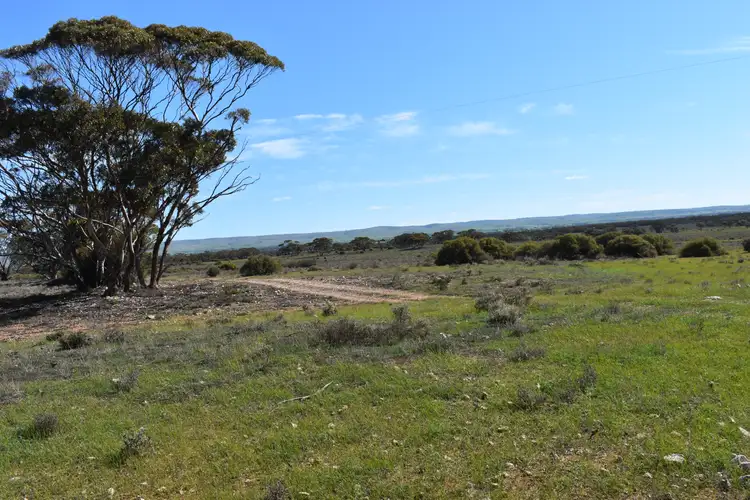 436 Dry Weather Road, Sedan SA 5353