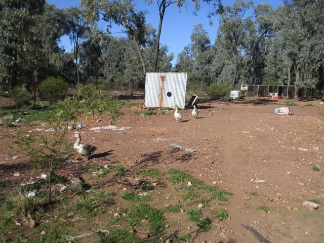 Fifth view of Homely rural property listing, 240 Myra Road, Tara QLD 4421