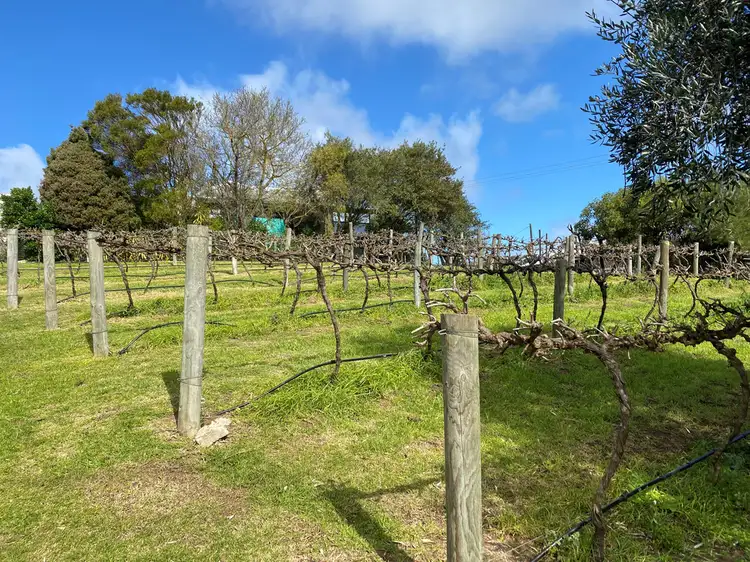 Second view of Homely land listing, 4 Schinckel Street, Rendelsham SA 5280