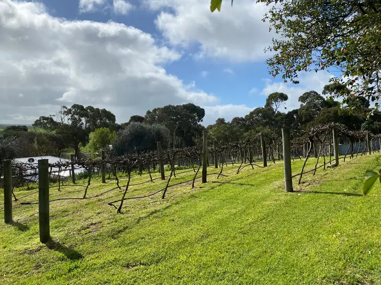 Fifth view of Homely land listing, 4 Schinckel Street, Rendelsham SA 5280