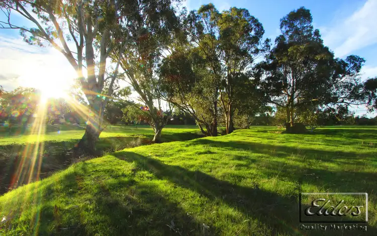 Second view of Homely rural property listing, 610 Axe Creek Road, Axe Creek VIC 3551