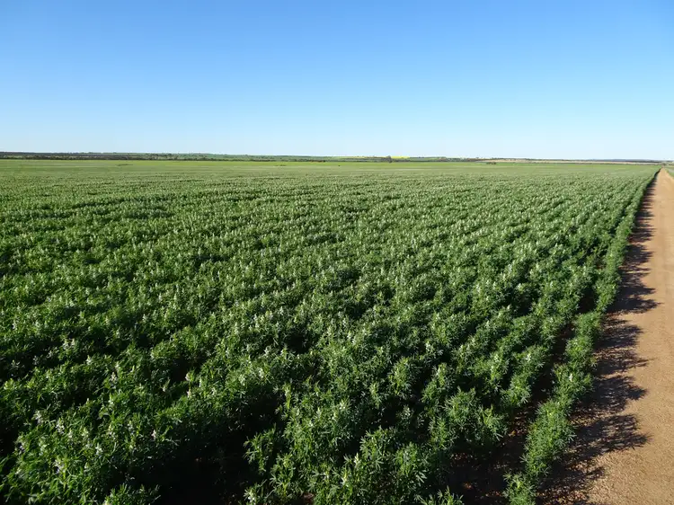 1275 Karlgarin Hills North Road, Karlgarin WA 6358