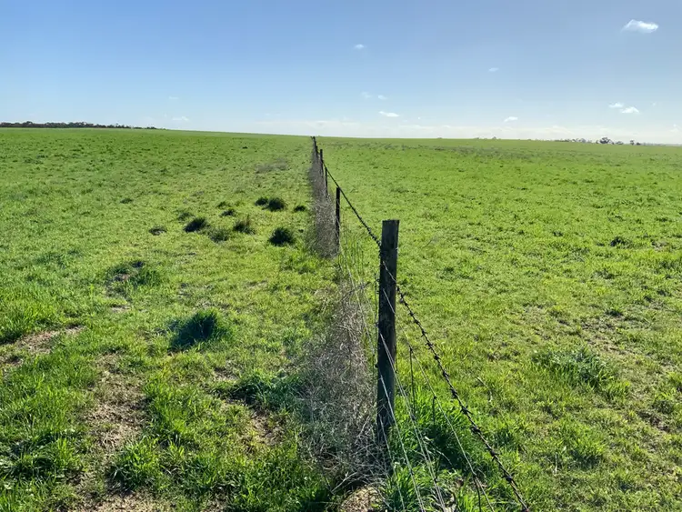 Fifth view of Homely rural property listing, 364 Przibilla Road, Parrakie SA 5301