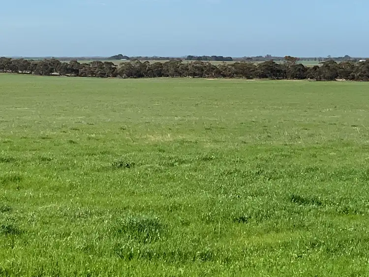 Sixth view of Homely rural property listing, 364 Przibilla Road, Parrakie SA 5301