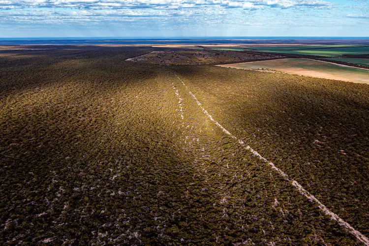 Second view of Homely rural property listing, 29 Munyaroo Road  Midgee, Cowell SA 5602