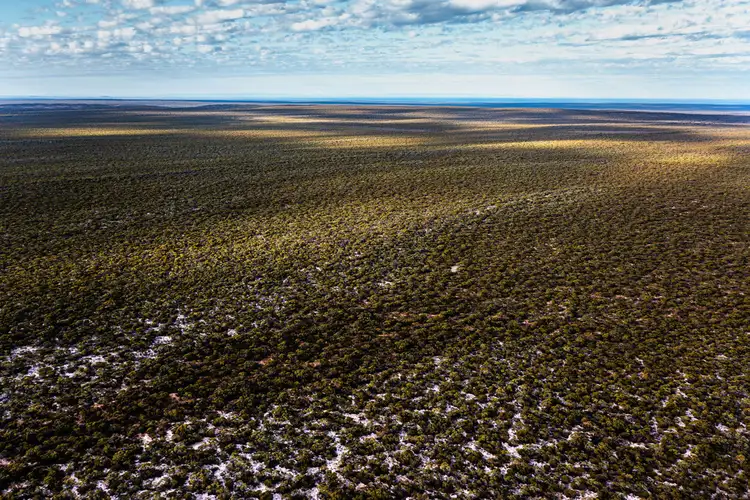 Fourth view of Homely rural property listing, 29 Munyaroo Road  Midgee, Cowell SA 5602