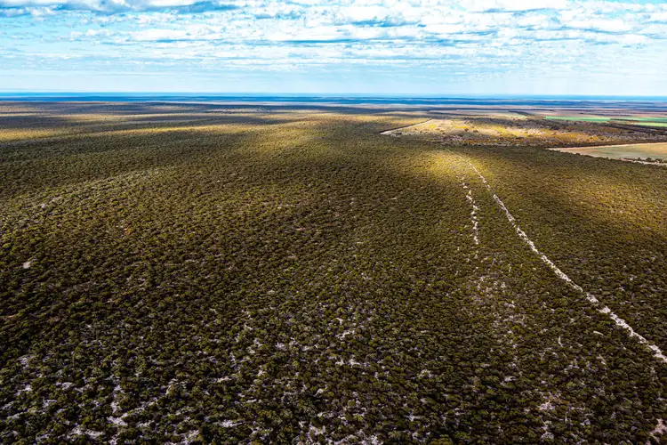 Fifth view of Homely rural property listing, 29 Munyaroo Road  Midgee, Cowell SA 5602