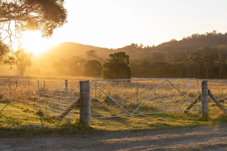 Fifth view of Homely rural property listing, 87 Norries Road, Bunyah NSW 2429