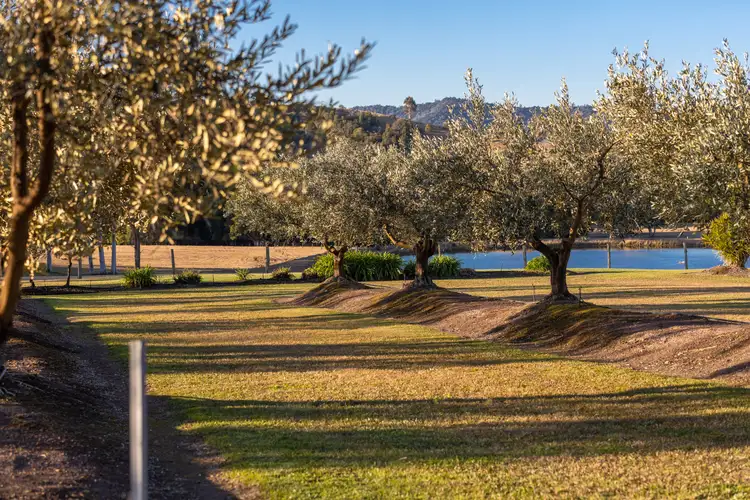 1221 Manning Hill Road, Bunyah NSW 2429