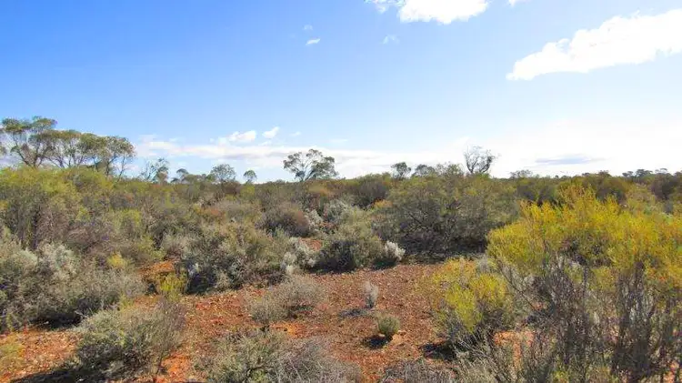 Main view of Homely land listing, Sect 101 Thiele Highway, Morgan SA 5320