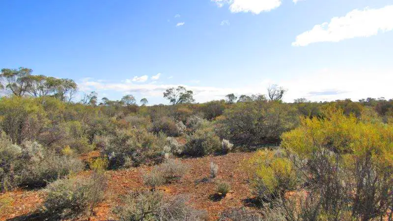 Main view of Homely land listing, Sect 101 Thiele Highway, Morgan SA 5320