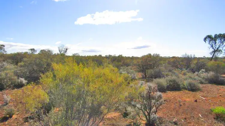 Second view of Homely land listing, Sect 101 Thiele Highway, Morgan SA 5320
