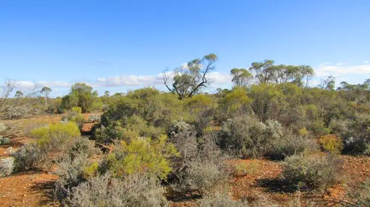Third view of Homely land listing, Sect 101 Thiele Highway, Morgan SA 5320