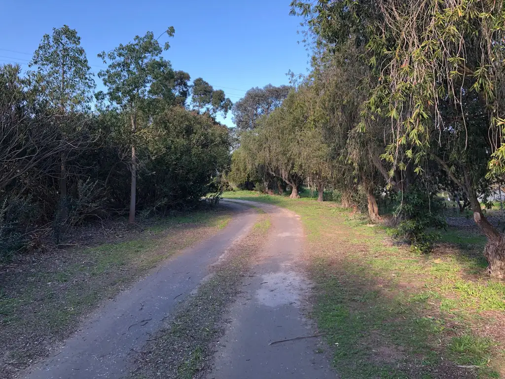 Main view of Homely house listing, 10037 Riddoch Highway, Naracoorte SA 5271