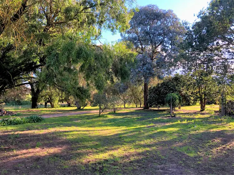 Third view of Homely house listing, 10037 Riddoch Highway, Naracoorte SA 5271