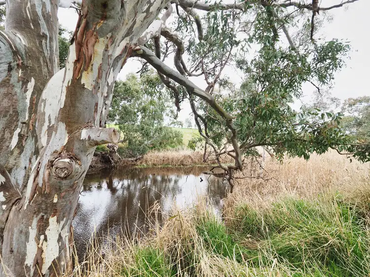 Fifth view of Homely rural property listing, Lot 26 Mortlake - Ararat Road, Maroona VIC 3377