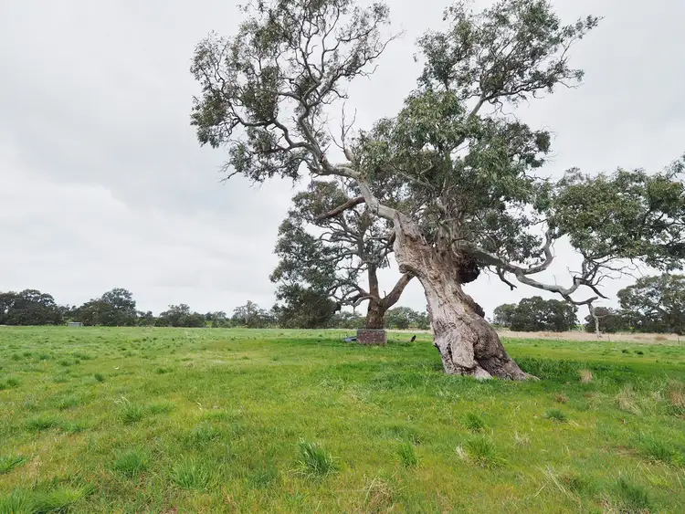 Seventh view of Homely rural property listing, Lot 26 Mortlake - Ararat Road, Maroona VIC 3377