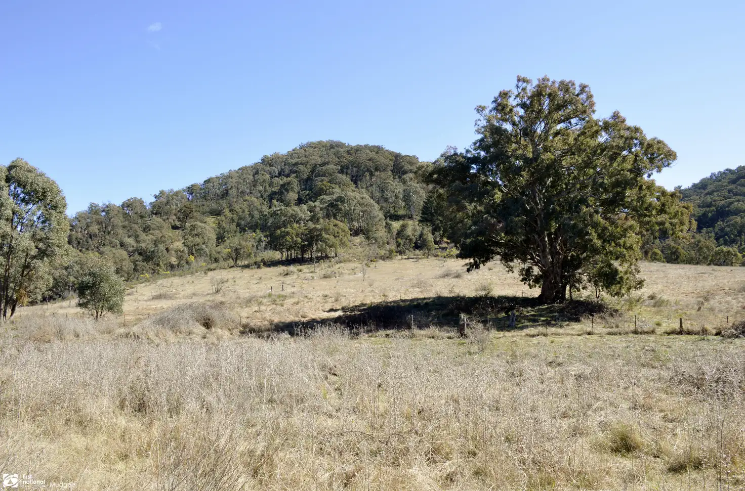 Main view of Homely rural property listing, 1770 Queens Pinch Road, Mudgee NSW 2850