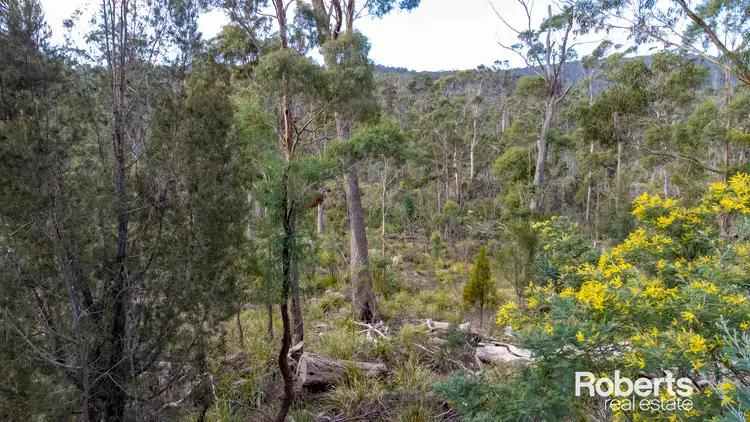Seventh view of Homely land listing, 284, 606 & 608 Lilydale Road, Underwood TAS 7268