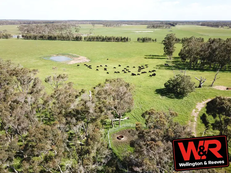 Third view of Homely rural property listing, 1234 Yellanup Road, Narrikup WA 6326