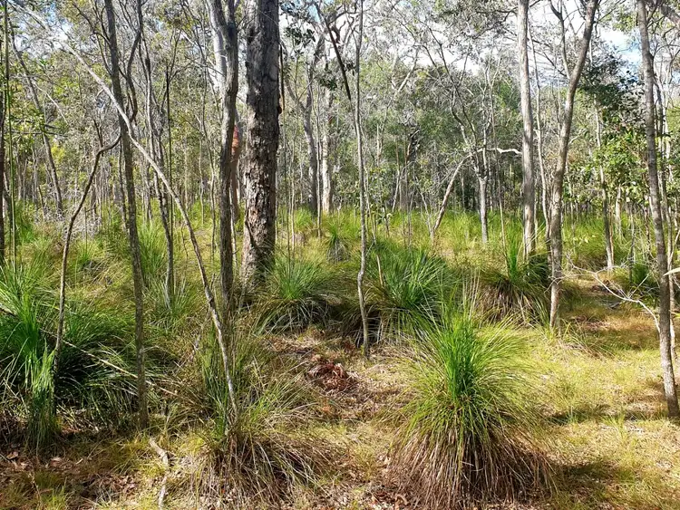 LOT 157 Murphy Road, Captain Creek QLD 4677