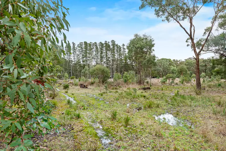 Fifth view of Homely rural property listing, 115 Corio Dam Rd, Scarsdale VIC 3351