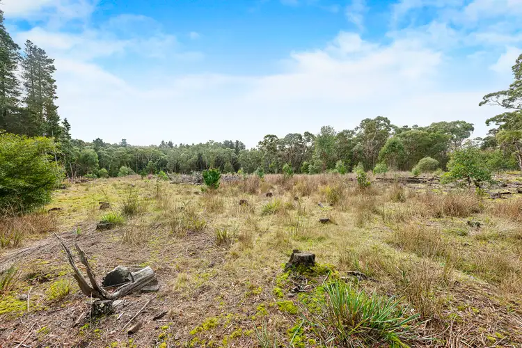 Sixth view of Homely rural property listing, 115 Corio Dam Rd, Scarsdale VIC 3351